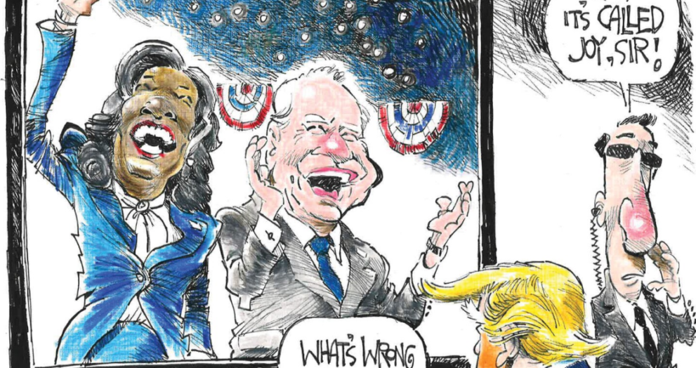 Political Cartoons About the 13th Amendment