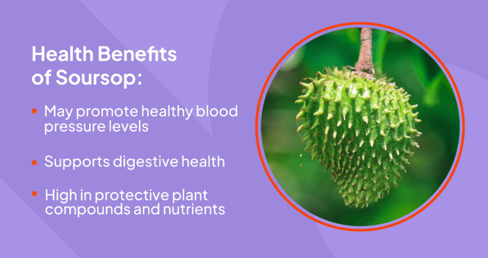 15 health benefits of soursop leaves