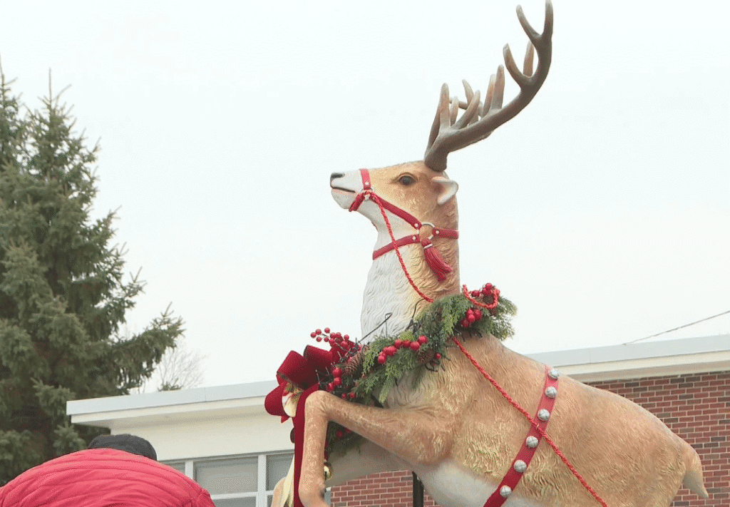Prancer Celebration Ideas: Themes, Decor & Fun Activities