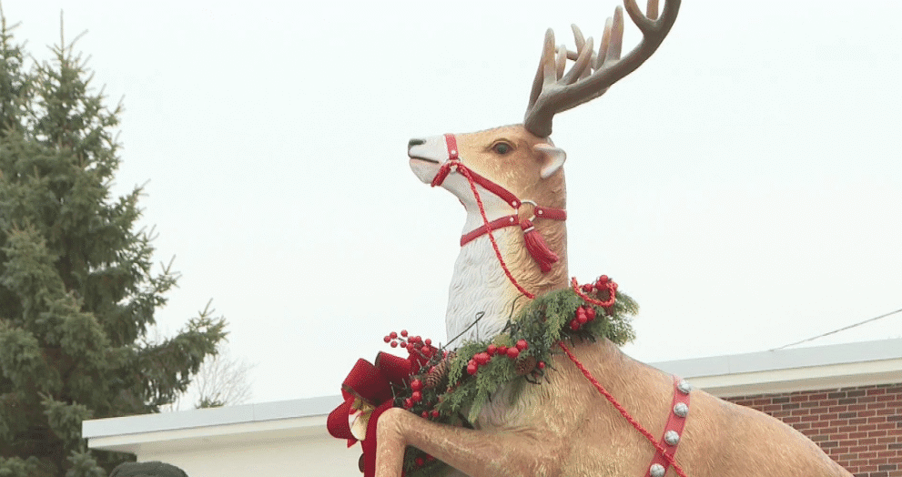 Prancer Celebration Ideas: Themes, Decor & Fun Activities
