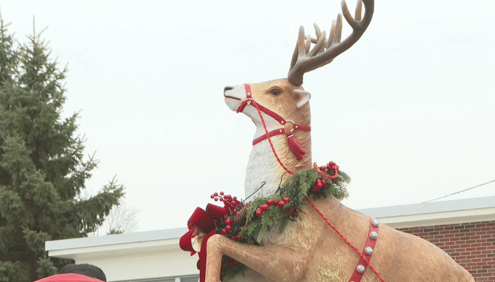 Prancer Celebration Ideas: Themes, Decor & Fun Activities